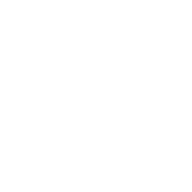 Experience Spinner